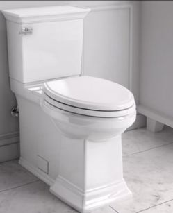 Toilet Replacement
