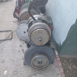 Work Out Plates
