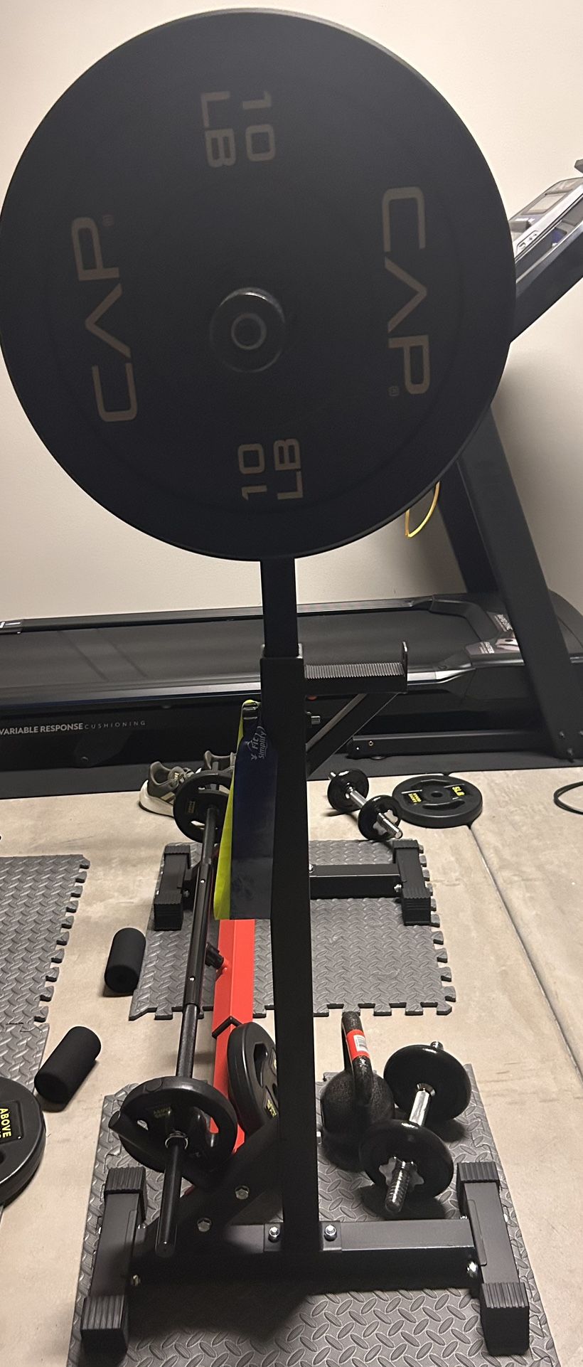 Weights, Stand (and Free - Bench Needs Assembly)