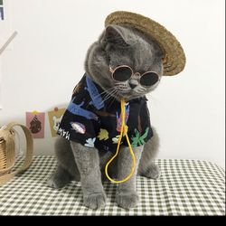 Cat Clothes https://offerup.com/redirect/?o=bW9lYmF5Lm9yZw==