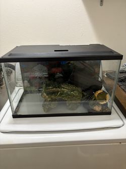 10 gallon Fish Tank 
