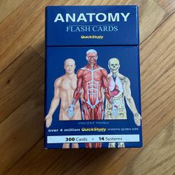 Anatomy Flash Cards