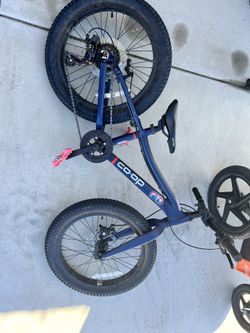 REI Brand Co op Mountain Bike Size 20