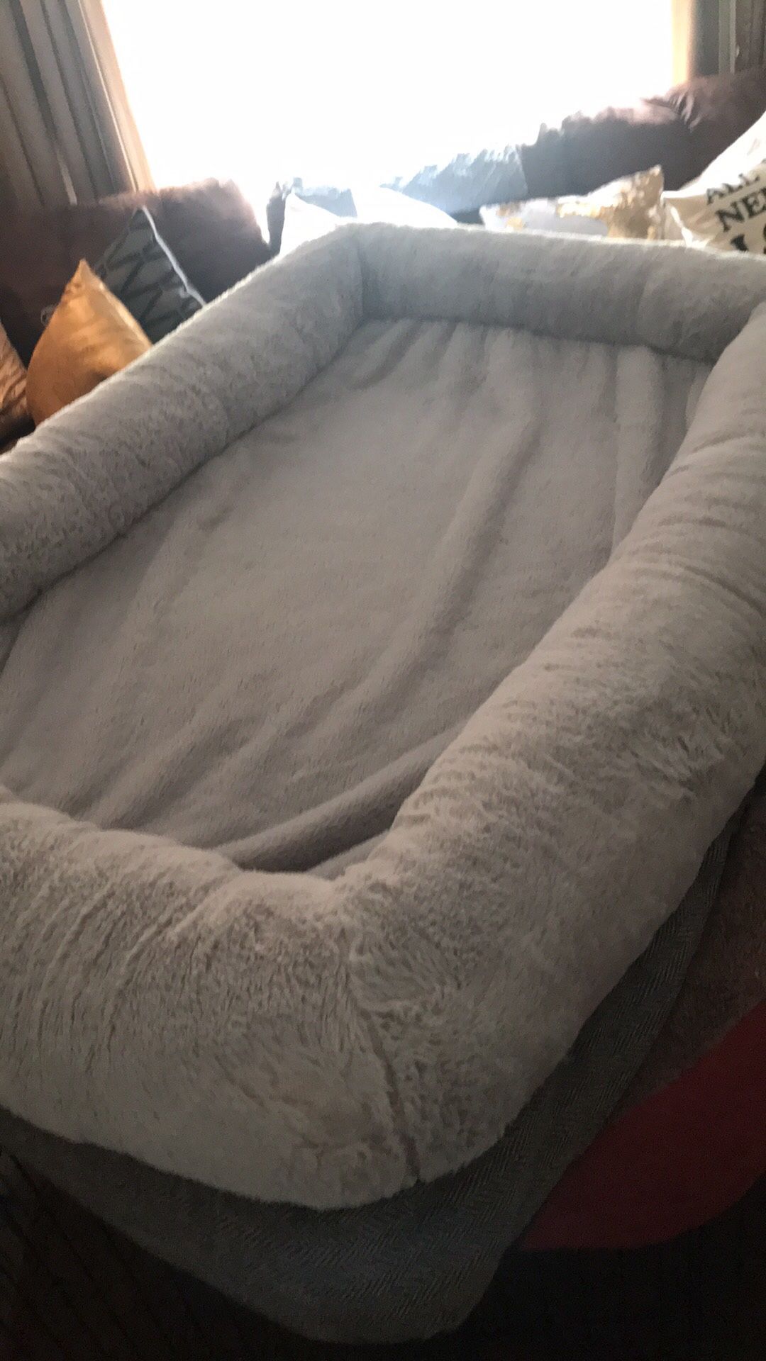 Large Dog Bed
