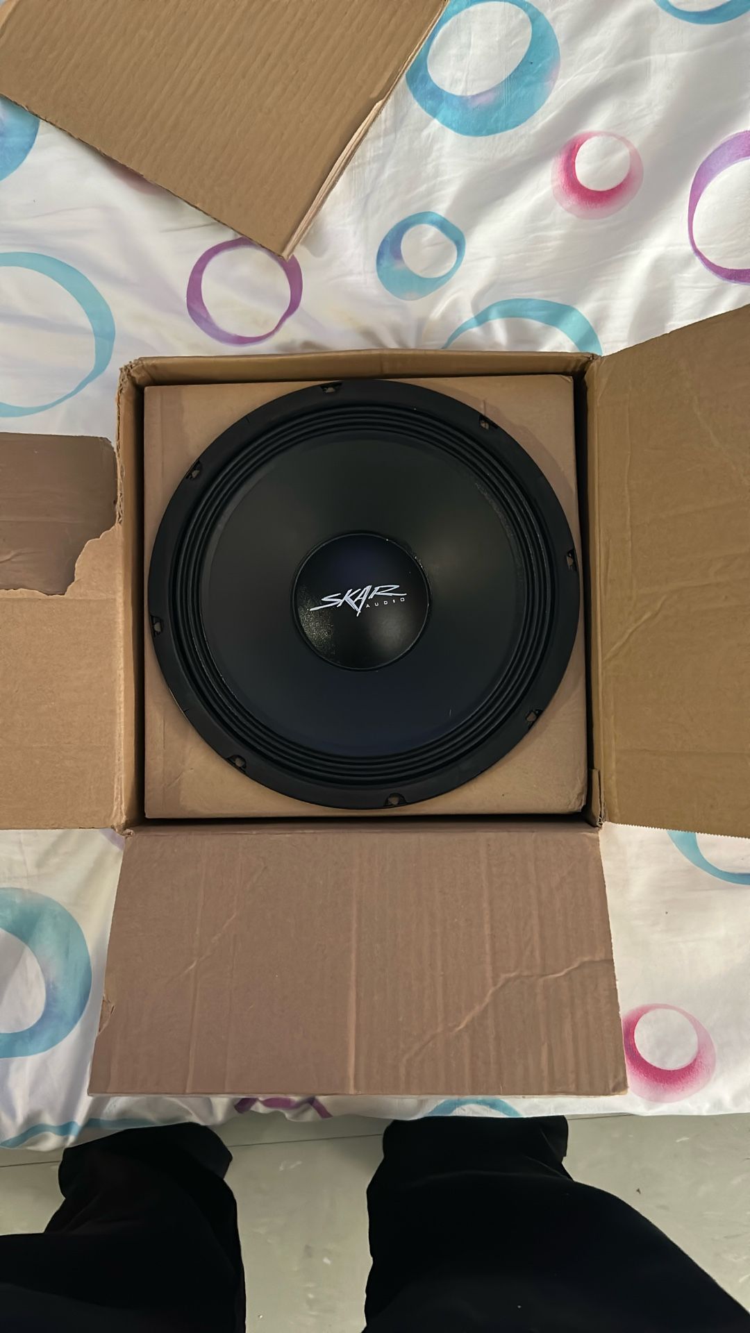 10in Skar Speaker