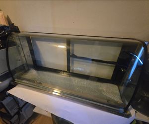 Commercial Display Case