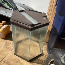 Hexagon Fish Tank 
