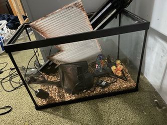 Fish tank