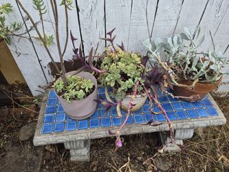 Concrete Blue Tiled Table and Blue Tiled Bench in Excellent condition