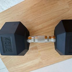 45lb Hex Dumbbell 