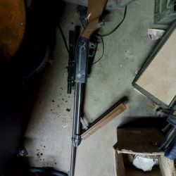 Pump Air Gun 