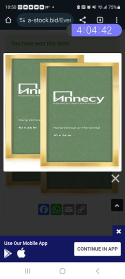 10" X 24" PICTURE FRAMES  GOLD