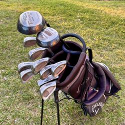 Cougar Precision III Golf Clubs