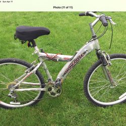Adult Bike