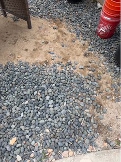 Free landscape rock and barrel cactus 🌵