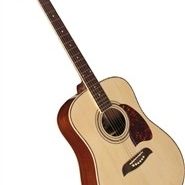 Oscar Schmidt Set Up W/New Strings