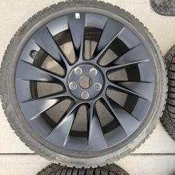 Model Y 20” Rims & Pirelli Tires 