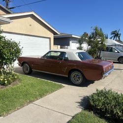 1965 Ford Mustang!! COPPER