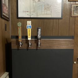 Custom Keezer Kegerator 