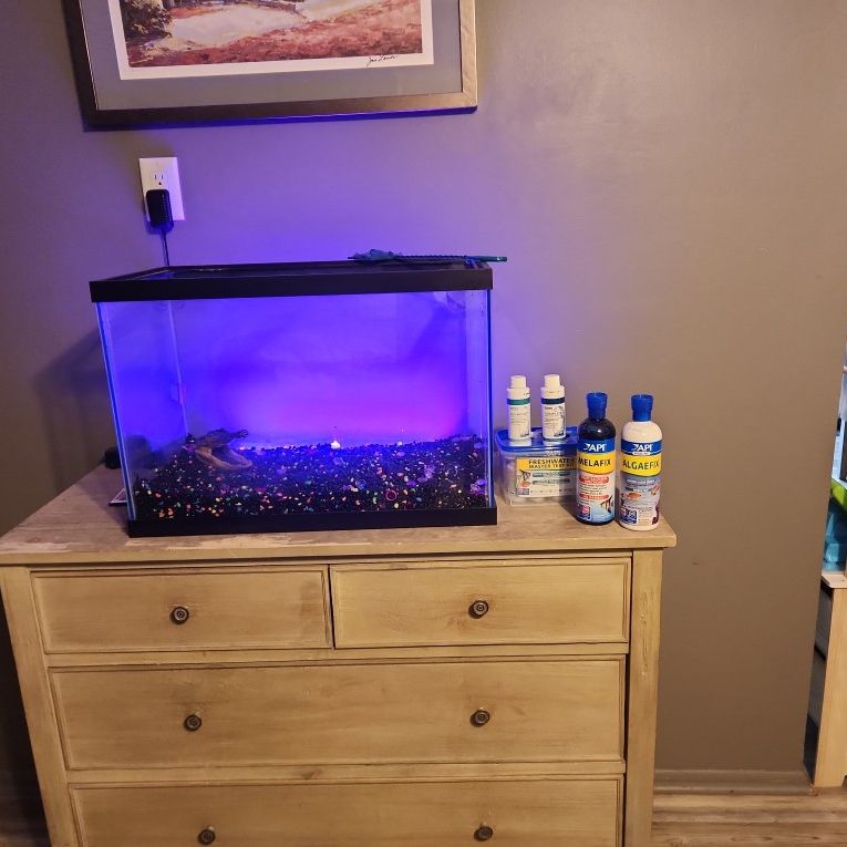 Brand New Fish Tank W/ Beautiful Rocks, Never Been Used, In Addition, Freshwater Test Kit, Bio Boost, Complete Water Conditioner, And Algae Fix, Mela 