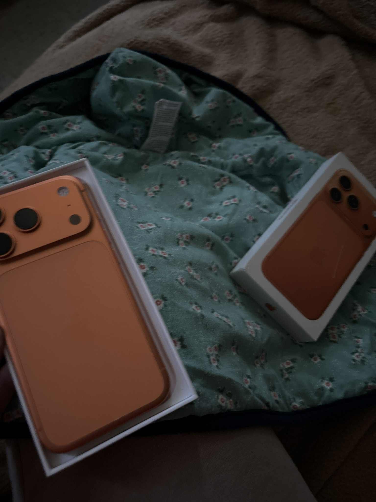 iPhone 17 256 Gb Orange