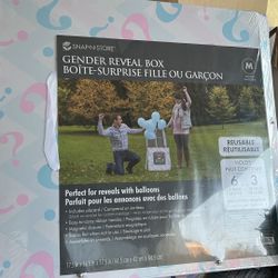 Gender Reveal Party Supplies Bundle 