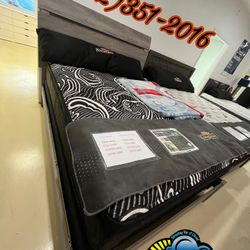 Sledge Queen Black Firm Mattress And Box Set New Cama 