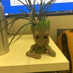 Groot Planter Plus Plant