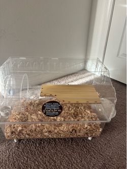 Selling my hamster with everything needed