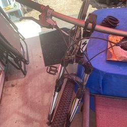 Men’s Bicycle