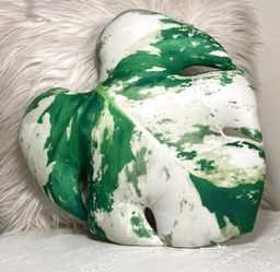 Poduszkownia Green & White Variegated Monstera Plant Pillow Leaf Design Lovely!
