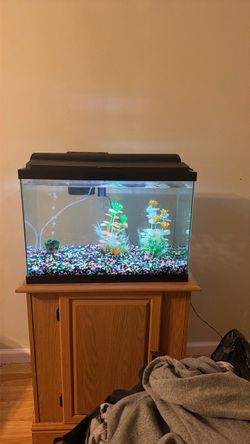 Fish tank