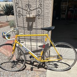 Vintage Lejeune Bike