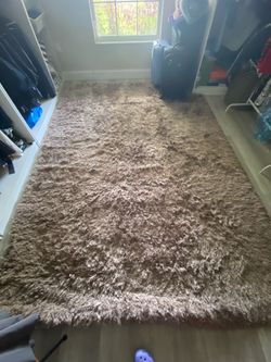 6’7” x 9’6 Soft Shag Area Rug- $75- OBO