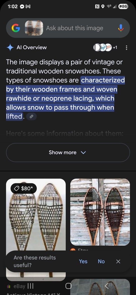 Vintage pair of snowshoes
