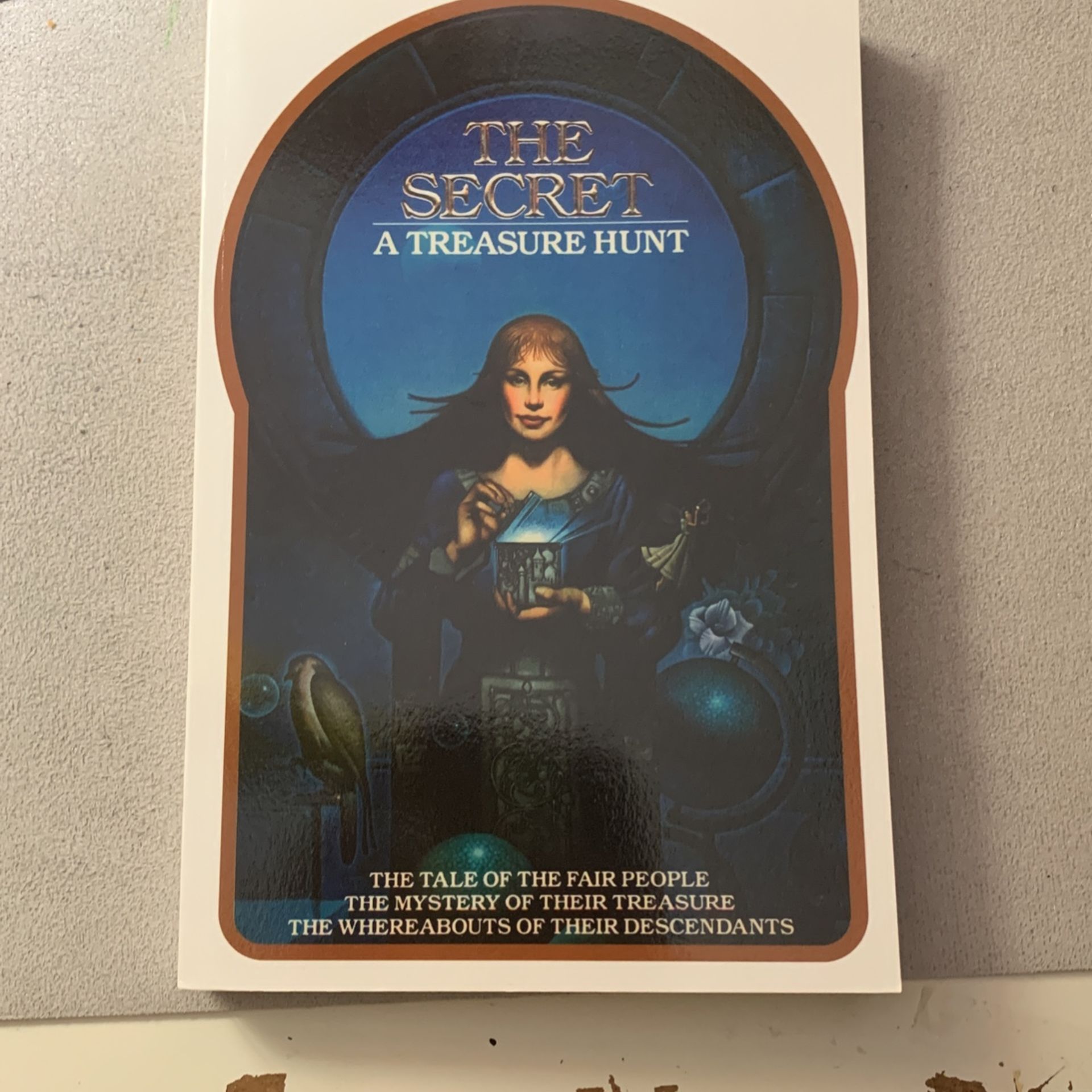 The Secret: A Treasure Hunt Book