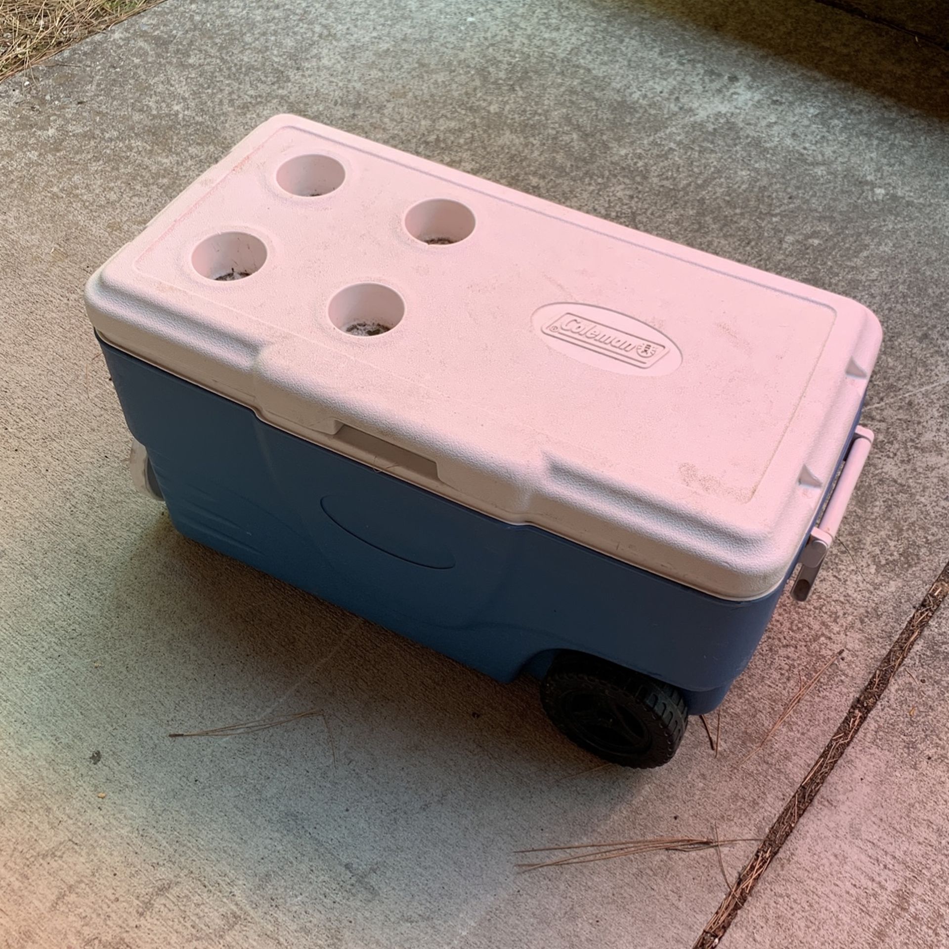 Coleman Cooler