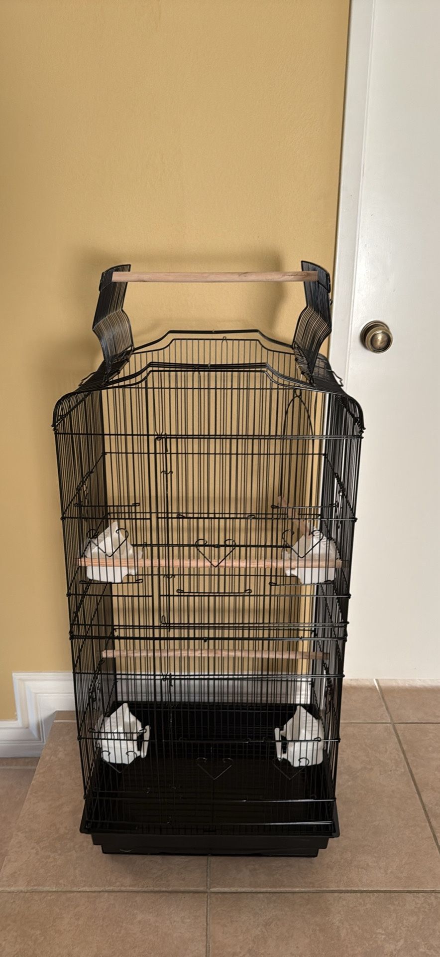 Birds Cage