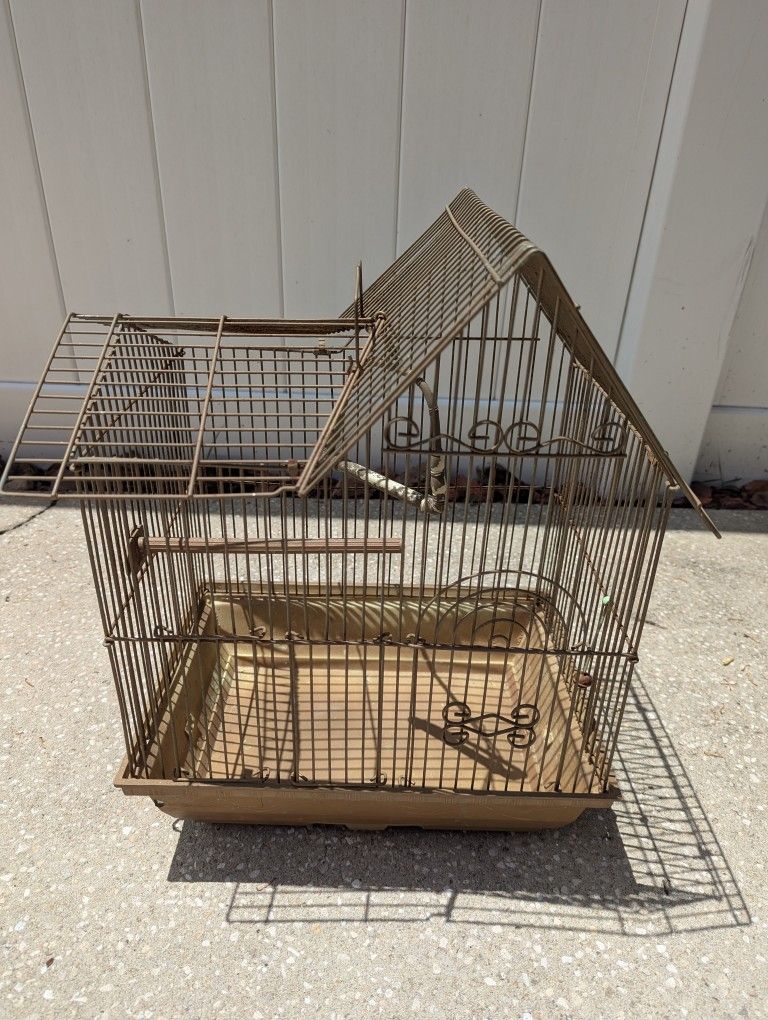 Bird Cage