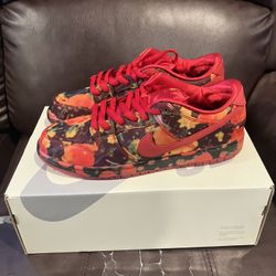 Nike Dunk Low SB Wizard Of Oz Size 10