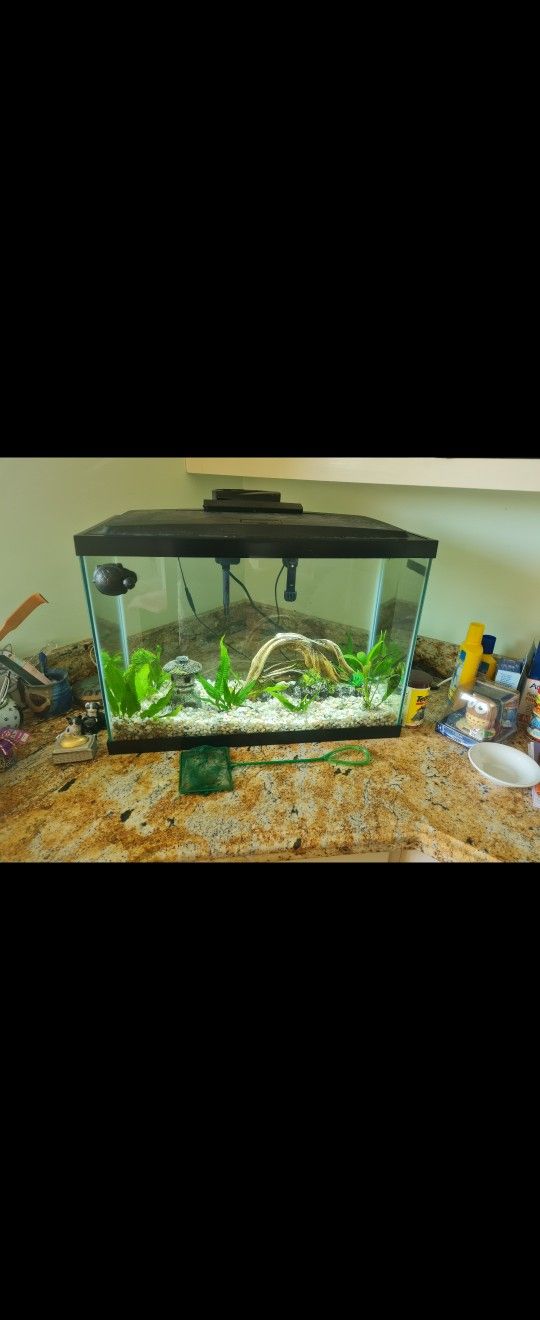 20 Gallon Aqueon Fish Tank