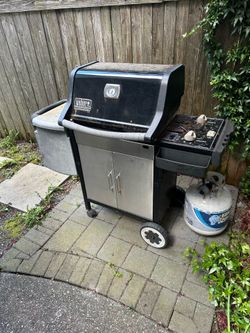 Weber Genesis