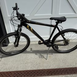 Old Mountain Bike