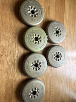 Weight Plates 5lbs Each- 6 Total 