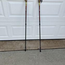 Hiking Poles