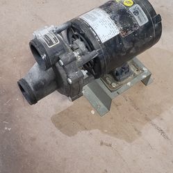Spa Pump and Motor