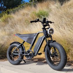 Electric Bike 1000w 