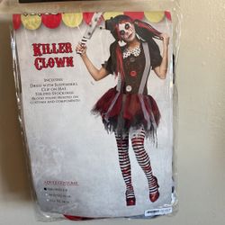 Clown Costume