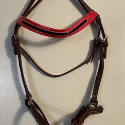 English Show Halter leather with red brow-band, Small size, new 