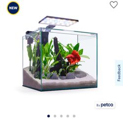 Glass Betta Kit Aquarium 